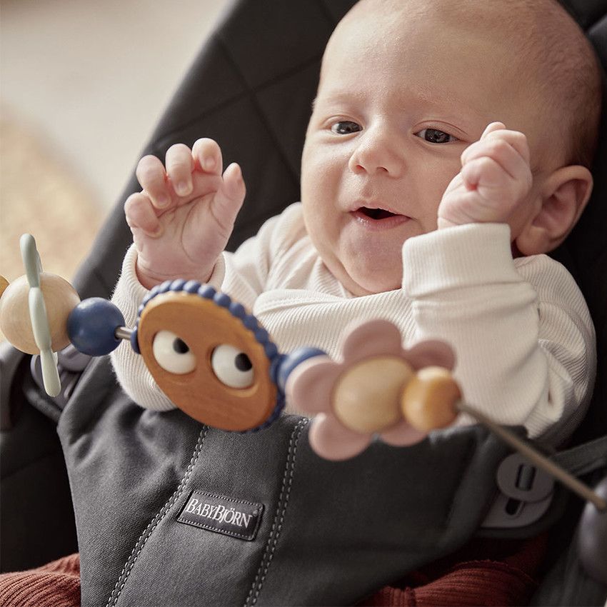 Babybjorn wooden toy deals for bouncer