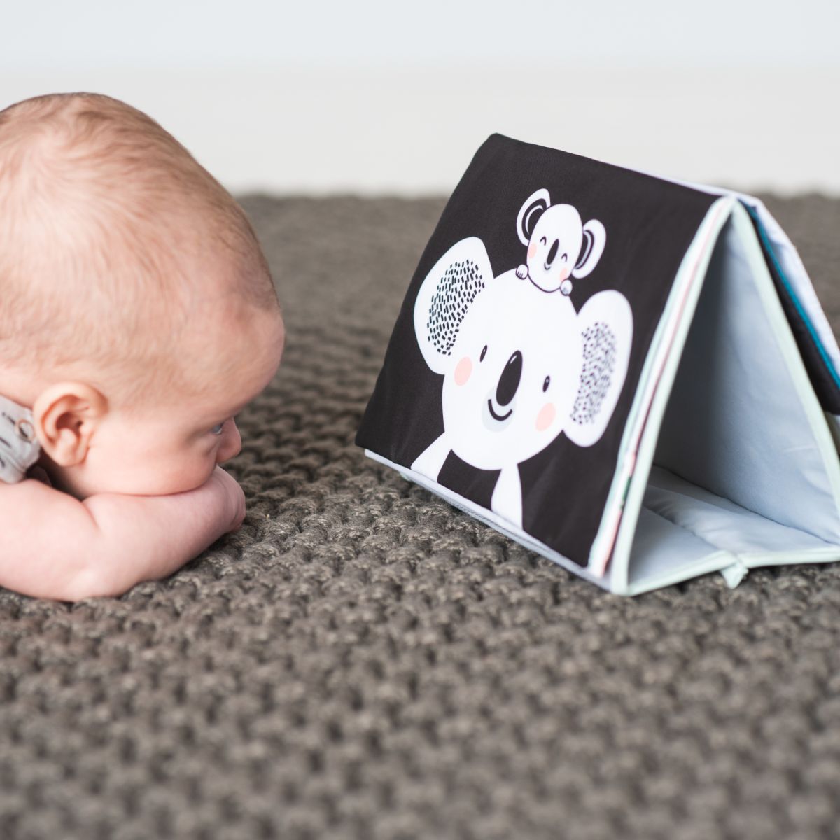 Taf Toys Urban Garden Centre de Développement Sensoriel Tummy Time Jouet Musical et léger avec 13 activités pour garçons et Filles à partir de 0 Mois