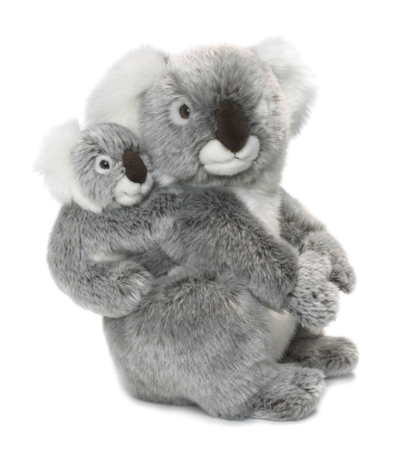 koala doudou